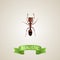 Realistic Ant Element. Vector Illustration Of Realistic Emmet Isolated On Clean Background. Can Be Used As Emmet, Ant