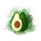 Realistic avocado with green watercolor splashes. Front view. Ingredient for keto diet and guacamole. Vector element