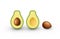 Realistic avocado for healthy eating. Cut in half avocado with pit. Raster illustration on white background.