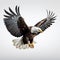 Realistic Bald Eagle Flying In High Quality On White Background