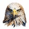 Realistic Bald Eagle Head Illustration: Eye-catching Artgerm Muralist Design