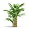 Realistic Bamboo Plant Vector Illustration On White Background