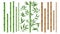 Realistic bamboo stick. Brown and green tree branch and stems with leaves isolated decorative closeup elements, east