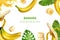 Realistic Banana Frame Composition