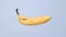 Realistic banana rotation on white background.
