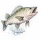 Realistic Bass Fishing Images Free Clip Arts And Hyper-detailed Renderings