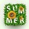 Realistic beautiful grass frame with sunflowers. Flower frame with grass. Summer concept.