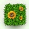 Realistic beautiful grass frame with sunflowers. Flower frame with grass. Summer concept.