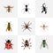 Realistic Bee, Poisonous, Gnat And Other Vector Elements. Set Of Bug Realistic Symbols Also Includes Arachnid, Alive