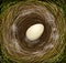 Realistic bird s nest with one big egg, Easter in nature,
