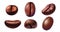 Realistic black coffee beans for breakfast hot drink. Espresso grain top and side view. Roasted coffee plant seeds