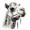 Realistic Black And White Camel Portrait Tattoo Drawing