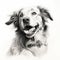 Realistic Black And White Dog Drawing - Detailed Studio Portrait