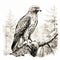 Realistic Black And White Drawing Of A Perched Hawk