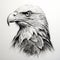 Realistic Black And White Eagle Portrait Tattoo Drawing