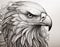 Realistic Black And White Eagle Portrait Tattoo Drawing