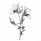 Realistic Black And White Flower Drawing With Delicate Markings