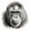 Realistic Black And White Orangutan Portrait Tattoo Drawing
