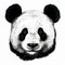 Realistic Black And White Panda Face Illustration
