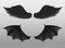 Realistic black wings. Pair of dark feathers raven and bat wings, crow bird parts, isolated demon elements, fly animals