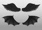 Realistic black wings. Pair of dark feathers raven and bat wings, crow bird parts, isolated demon elements, fly animals paired