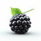 Realistic Blackberry Rendering With White Background