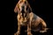 Realistic bloodhound clipart