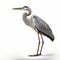 Realistic Blue Heron Hunting: Photo-realistic 8k Rendering