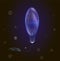 Realistic, blue lightening poisonous jellyfish in dark deep water with bubbles,