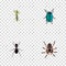 Realistic Bug, Ant, Tarantula And Other Vector Elements. Set Of Bug Realistic Symbols Also Includes Pismire, Blue