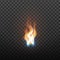 Realistic Burning Brush Fire Flame Element Vector