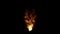 Realistic Burning orange hot sparks rise from fire seamless loop ,Fire Particles over black background.