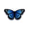 Realistic butterfly icon on white background.