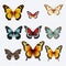 Realistic Butterfly Set: Various Types On Transparent Background