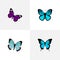 Realistic Butterfly, Sky Animal, Lexias And Other Vector Elements. Set Of Moth Realistic Symbols Also Includes Bluewing