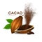 Realistic cacao beans with green leaves vector illustration