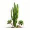 Realistic Cactus Plant With Banana Tree On White Background