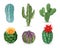 Realistic cactuses. Decorative desert exotic cactus prickly plants. Wild and houseplant succulent cacti. 3d isolated