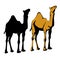 Realistic camel silhouette black set