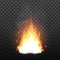 Realistic Campfire Flame With Sparks Effect Vector