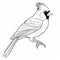 Realistic Cardinal Coloring Page: Black And White Bird Outline Art