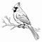 Realistic Cardinal Coloring Page With Strong Linear Elements