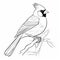 Realistic Cardinal Coloring Pages: Captivating And Detailed Illustrations