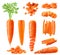 Realistic Carrot Icons Collection