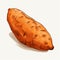 Realistic Cartoon Drawing Of Elongated Sweet Potato