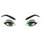 Realistic cartoon vector female green eyes and eyebrows