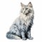 Realistic Cat Drawing On White Background In Light Azure And Gray