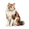 Realistic Caucasian Cat Illustration In White And Amber