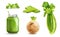 Realistic Celery Icon Set