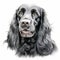 Realistic Charcoal Drawing Of English Cocker Spaniel